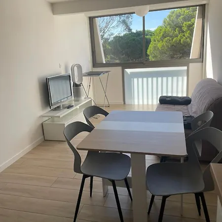 Appartement Les Pieds Dans L'Eau Saint Cyprien Exterior photo